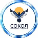 Аватар канала ЦСЕ «Сокол»