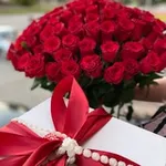 Аватар канала MEGA FLORA