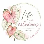 Аватар канала Life with caladiums 🌱