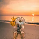 Аватар канала 🌹 زآد آلشـوق 🌹