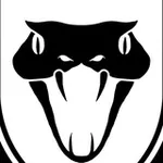 Аватар канала BLACK MAMBA GROUP