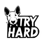 Аватар канала ⚡ TRY HARD ⚡