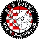 Аватар канала ESE SOUND