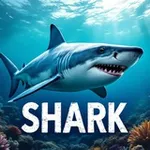 Аватар канала 🦈 SHARK GIFTS 🦈