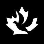 Аватар канала RCDA - Russian Canadian Democratic Alliance