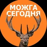 Аватар канала Можга сегодня