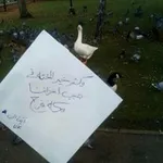 Аватар канала فكـــــة فـرررررح 💜 🌸