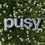 Аватар канала Держи руку на PÚSY