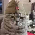 Аватар канала Mondo multipolare
