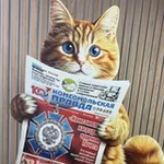 Аватар канала КП Ростов-на-Дону. Новости региона