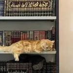 Аватар канала لِتطَّمئِن .