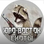 Аватар канала ЕНОТЫ РФ