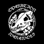 Аватар канала Operation Werewolf Official