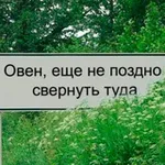 Аватар канала Овен, это знак