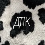 Аватар канала Дом повышенного комфорта