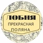 Аватар канала НОВОСТИ ЛОБНИ от LobnyaPolyana
