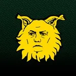 Аватар канала ван галики