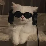 Аватар канала مَبتهمنيِش .