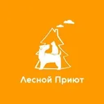 Аватар канала Лесной приют