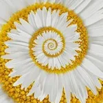 Аватар канала Бытие мое