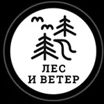 Аватар канала Лес и ветер. Путешествия по далёкой России и Сербии 🌲 💨