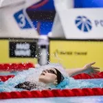 Аватар канала stepanova 🐋