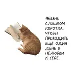 Аватар канала D&Dennchk