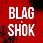 Аватар канала BlagShok | Благовещенск