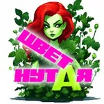 Аватар канала Н.Е. Цветанутая