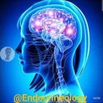 Аватар канала Endocrine Courses