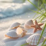 Аватар канала “نـ๛ـﻣَـــاټٌ مُعــطَّـرة“ 🌸
