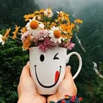 Аватар канала ﴿❁ورود✿مـبـ؏ـثـرهـৡৣ❁﴾