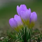 Аватар канала Вдохновение 🍁