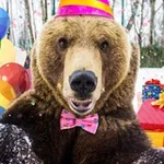 Аватар канала 🐻 Медведь Мансур