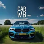 Аватар канала Car wb