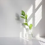 Аватар канала وهَـج ☁️ 🌱