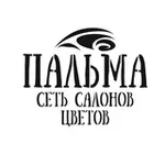 Аватар канала PALMASHOP