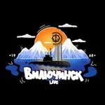 Аватар канала Вилючинск Live