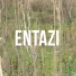 Аватар канала ENTAZI