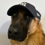 Аватар канала Бизае