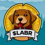 Аватар канала Labrador Adventures $LABR