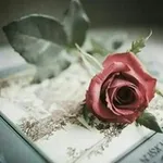Аватар канала 🌹 🕊 ↜شــ❁ــذى الـعَـبَـرات↝ 🌹 🕊