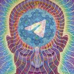 Аватар канала TeleGram/NEWS/SERVICES