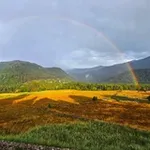 Аватар канала Энциклопедия Сванети