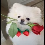 Аватар канала 𝑺𝒘𝒆𝒆𝒕𝒓𝒐𝒍𝒍_𝒄𝒂𝒏𝒅𝒚 ❤️