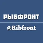 Аватар канала РЫБФРОНТ