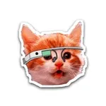 Аватар канала Startup Hunt