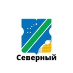 Аватар канала Северный