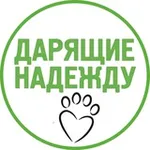 Аватар канала Дарящие надежду — фонд помощи животным