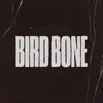 Аватар канала Bird Bone